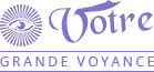 Fani voyante logo